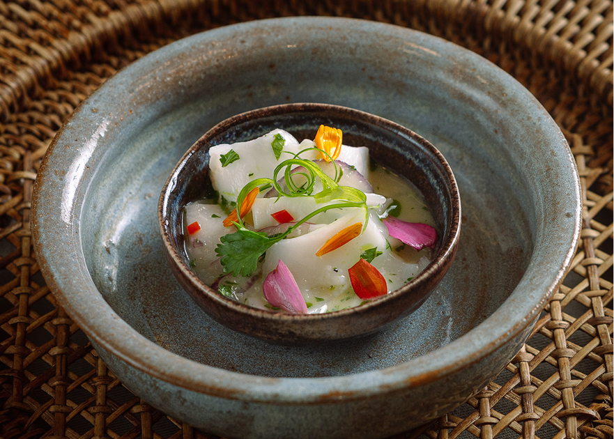 Ceviche de coco fresco